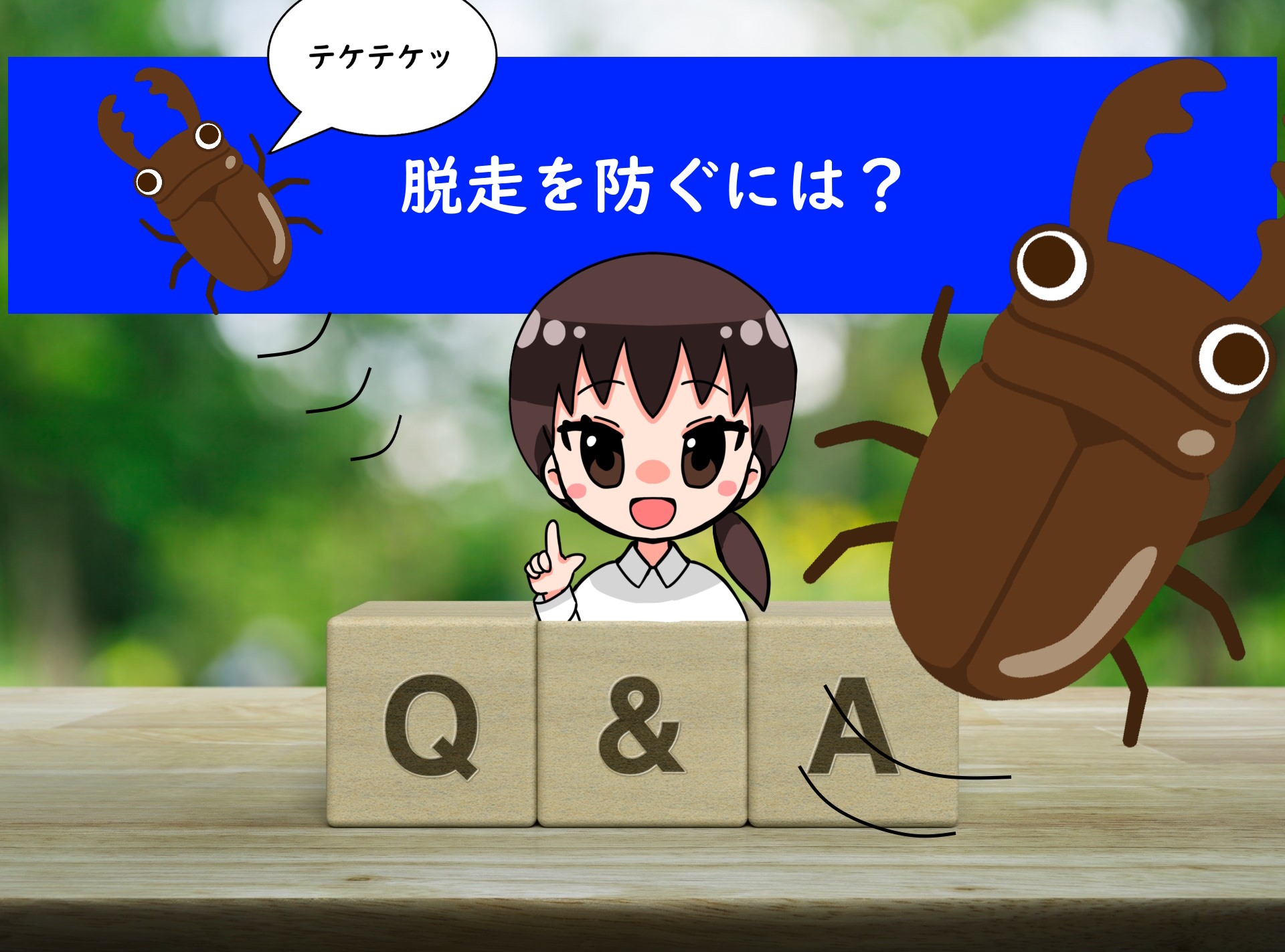 クワガタの脱走を防止するにはどうしたらいい？ | クワガタを初めて 