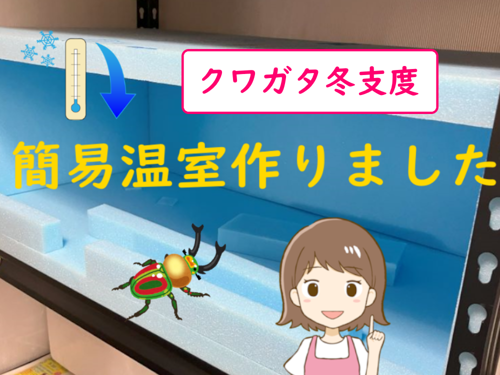 簡単！スタイロフォームでの簡易温室作り方とコツ！ | クワガタを 