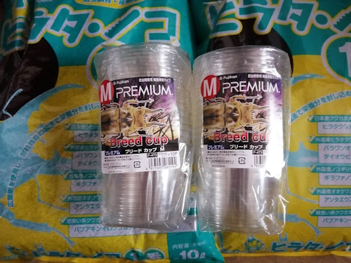 購入した幼虫育成マットとブリードカップ